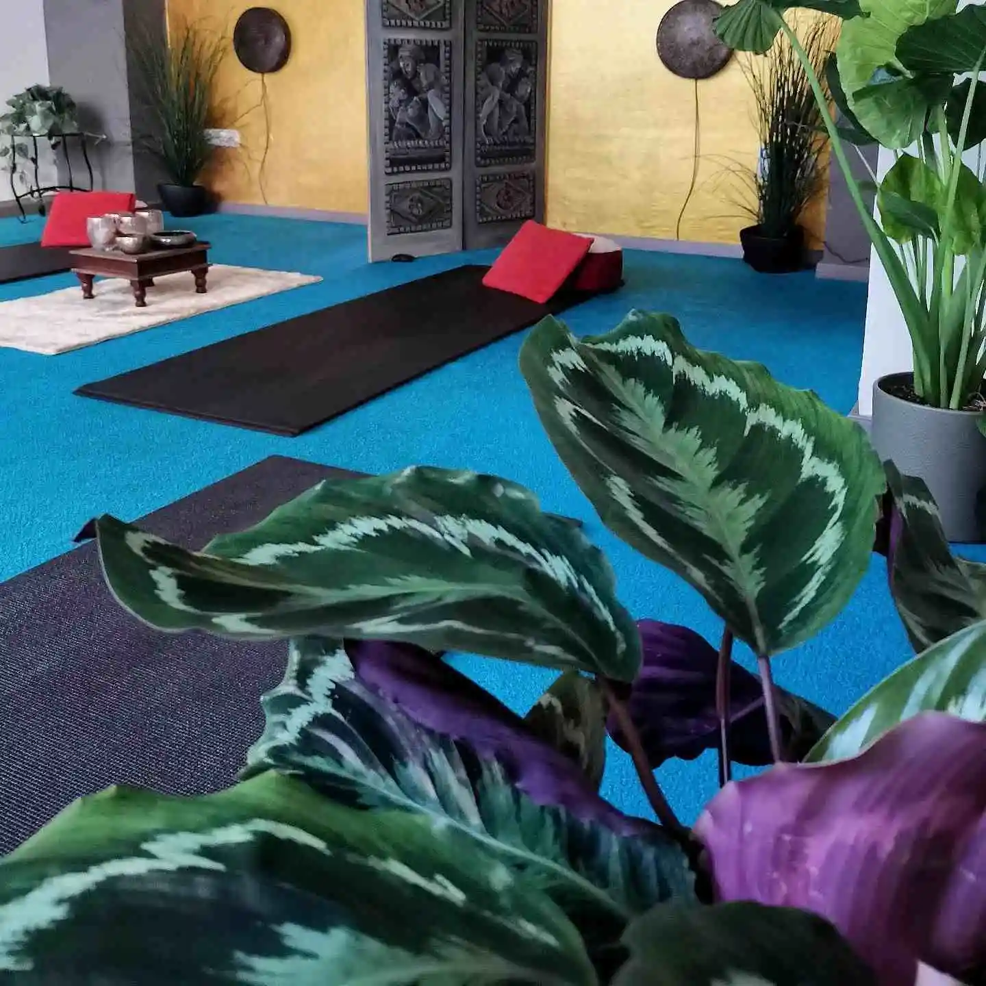 Yoga-Studio-in-Augsburg-Yoga-Unterricht.webp