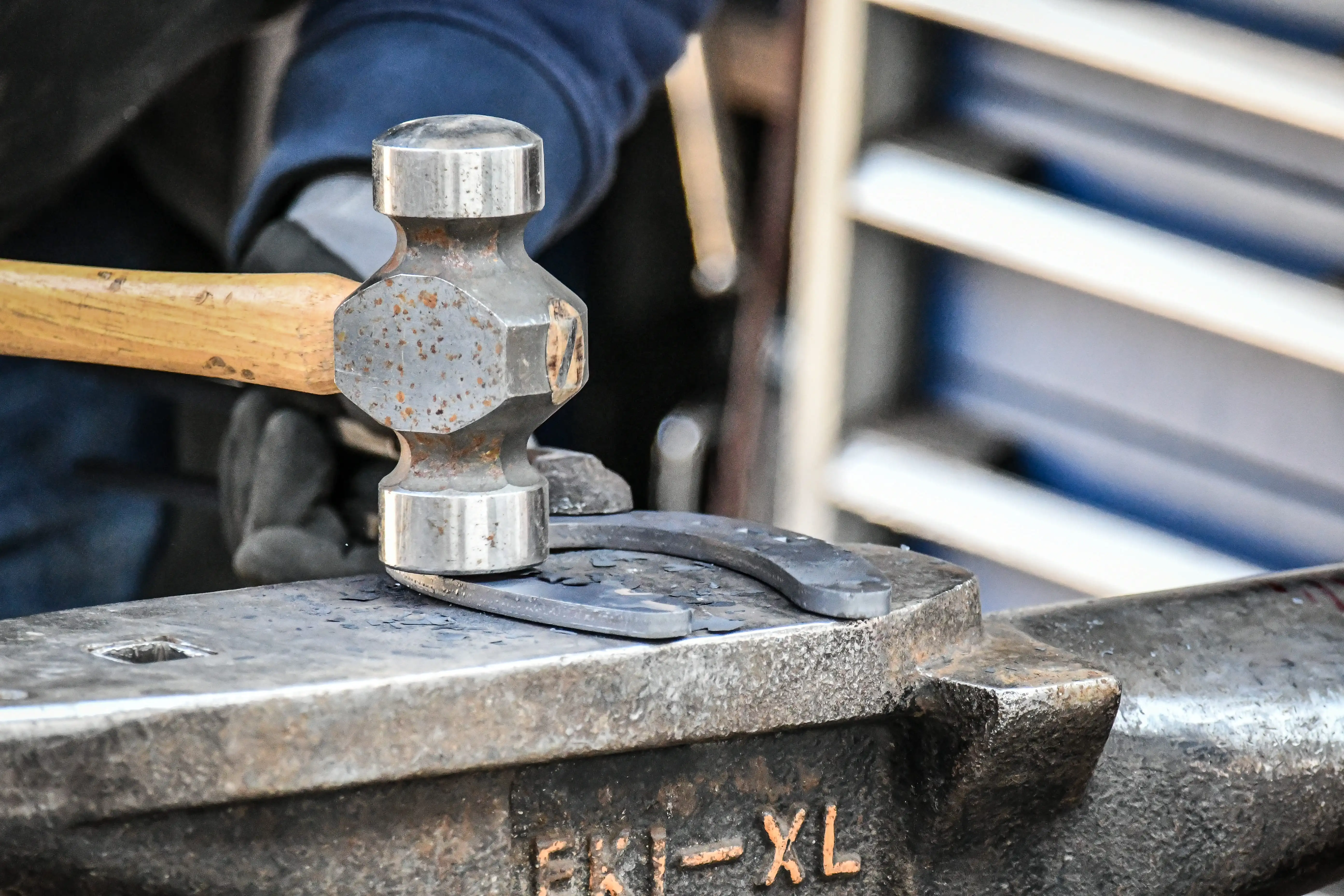 FAQ zum Thema Hufpflege Ausbildung und Huftechnik Ausbildung.webp