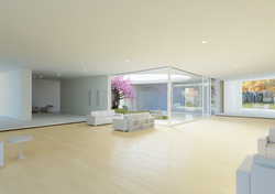 Interior View 01