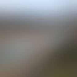 Récit et photos de cette 65e Cyclo-Balade Découverte qui fut un gros succès.