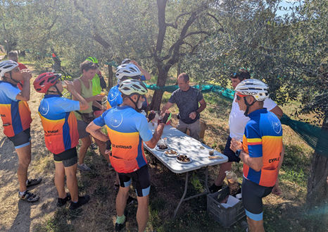 Rando Les olivades