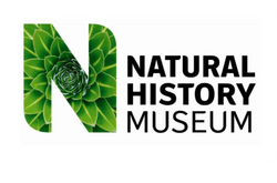 The Natural History Museum