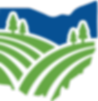 TRANSPARENT BACKGROUND 01_edited.png