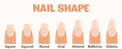 Nail shape chart: square, squoval, round, oval, almond, ballerina, stiletto – Aria Nail Bar McKinney TX
