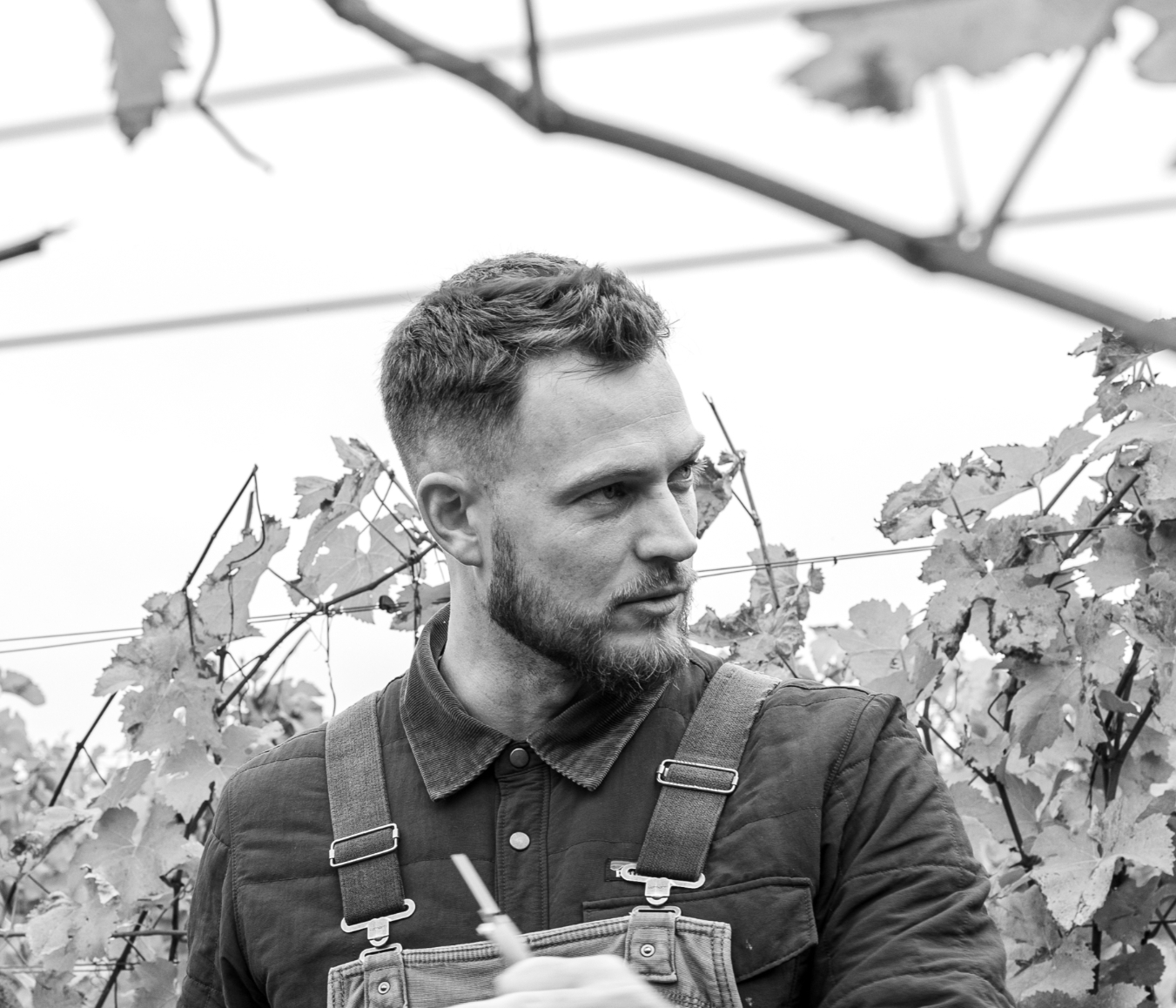 Writer: Will Perkins 