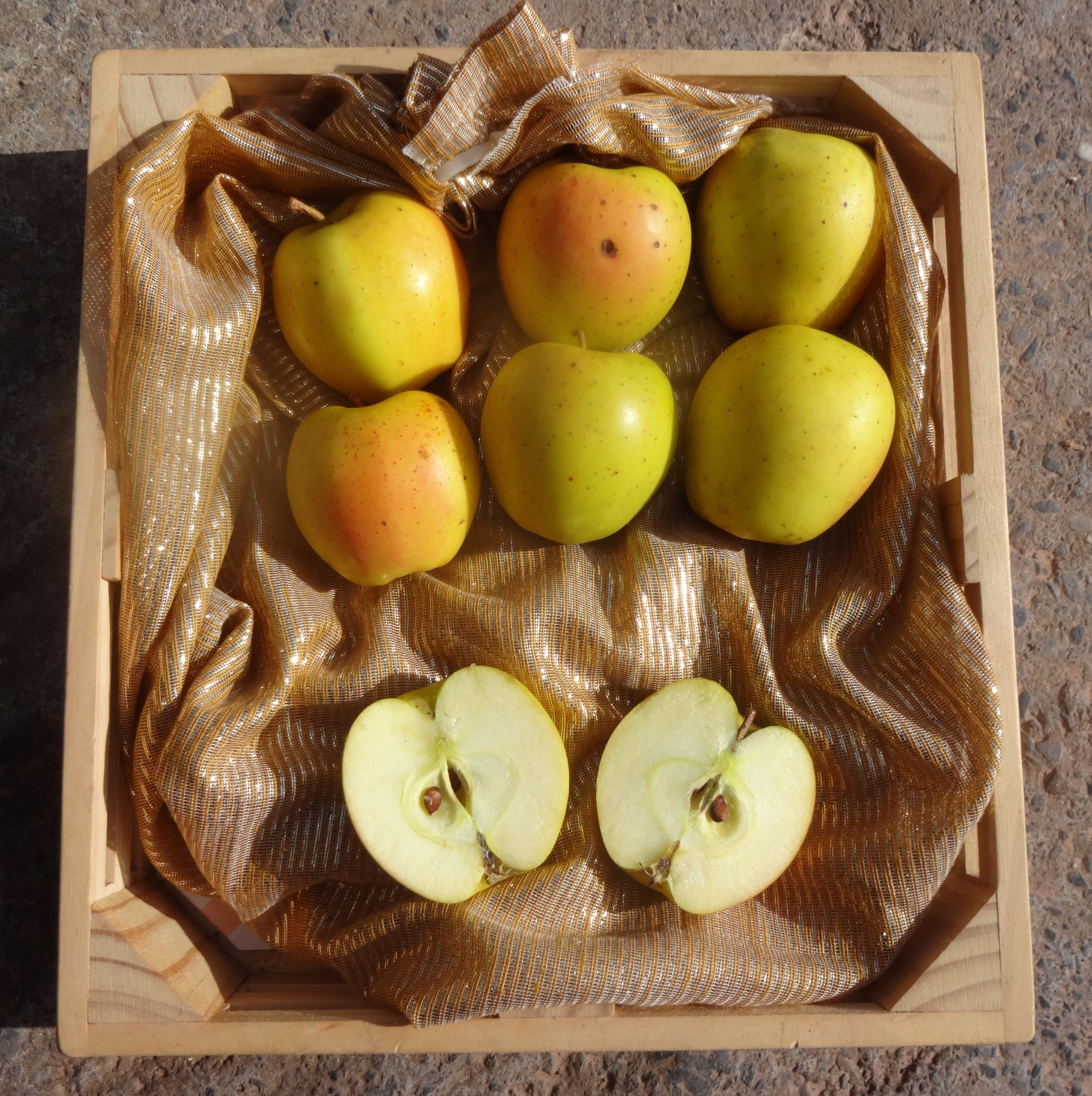 Apple - Cox Royale - 1kg