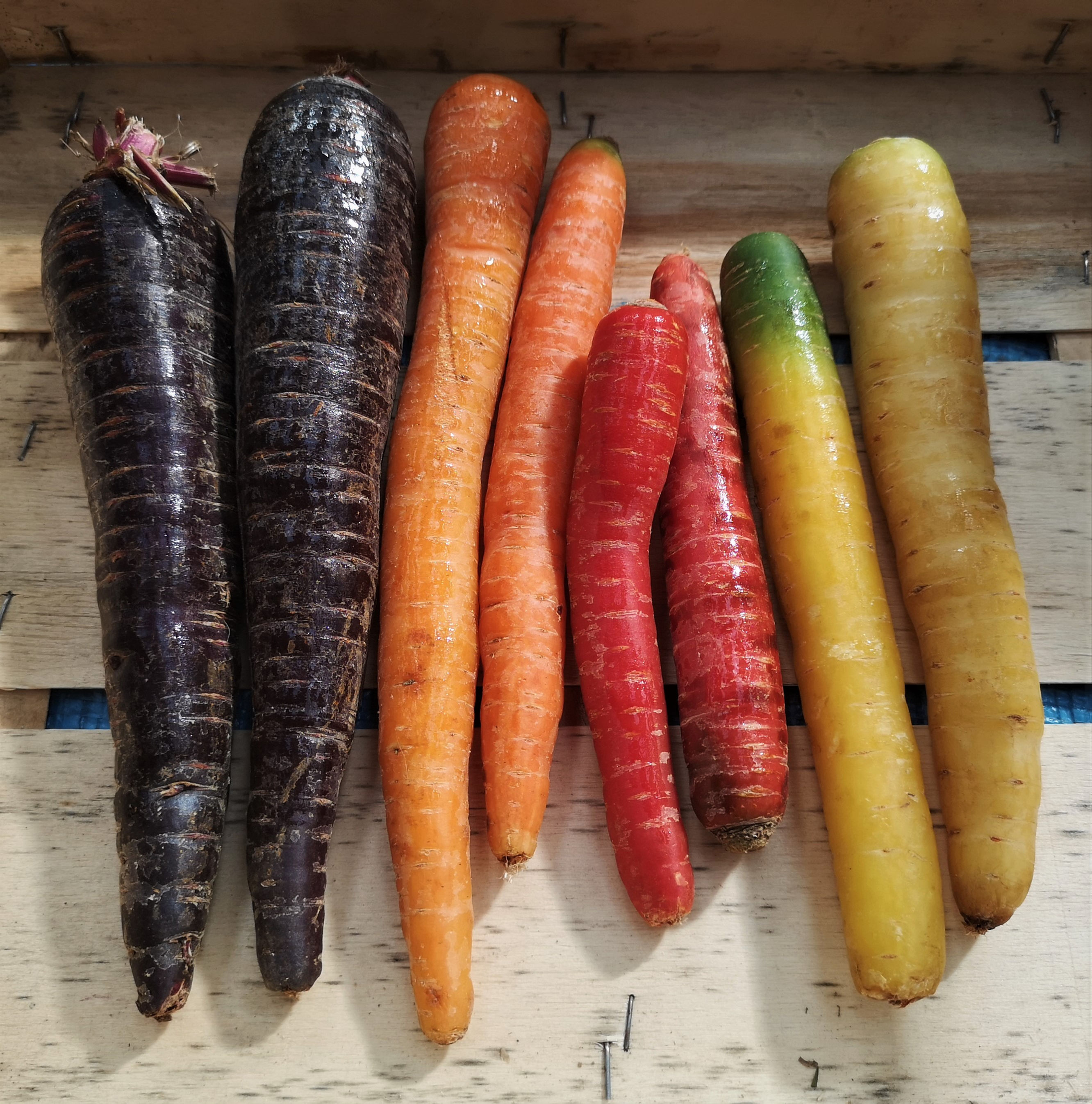 Carrots Rainbow - 750g