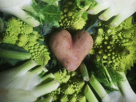 February 2026 Newsletter