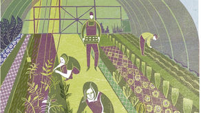 Event - Erecting Two Polytunnel Frames