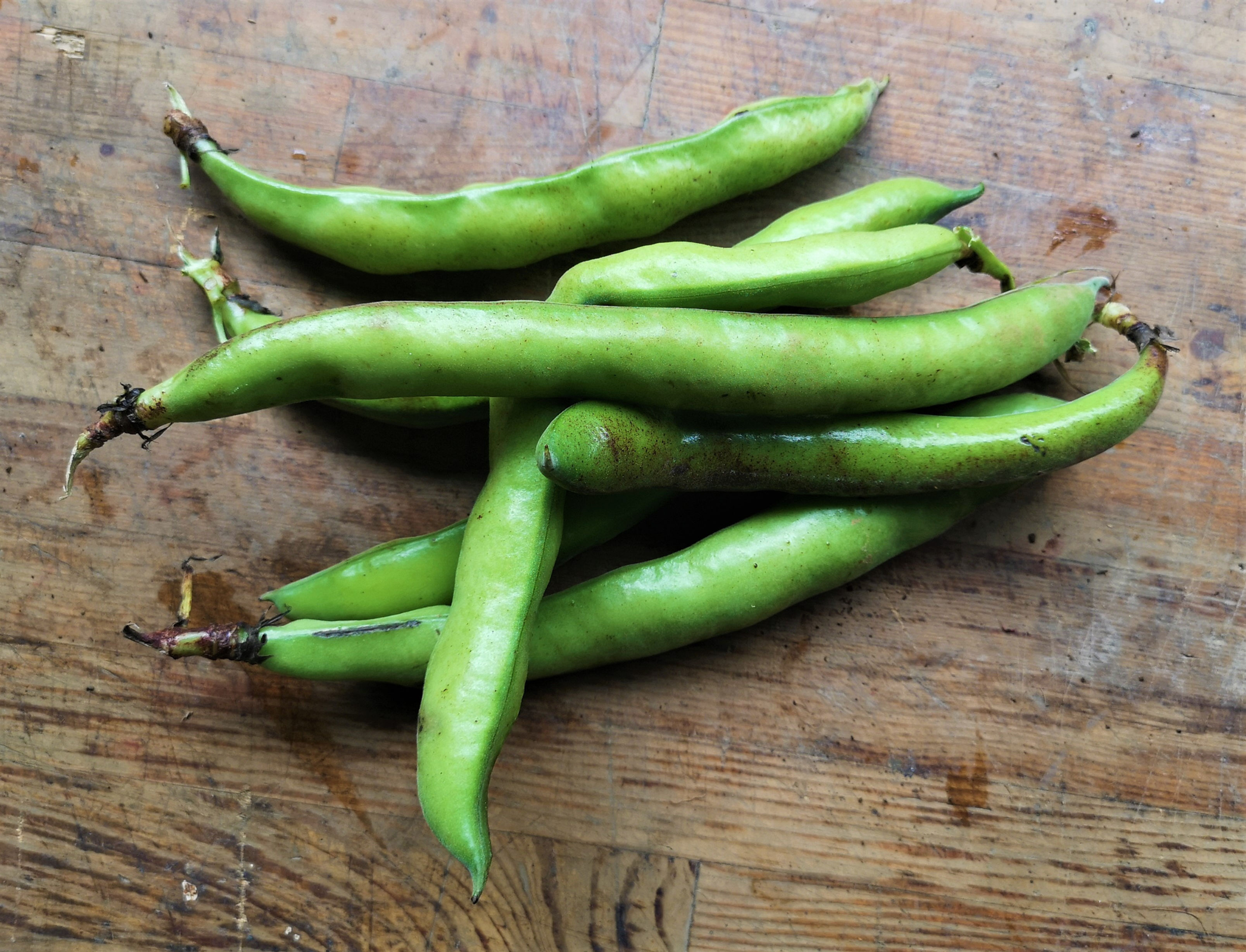 Broad Beans - 500g