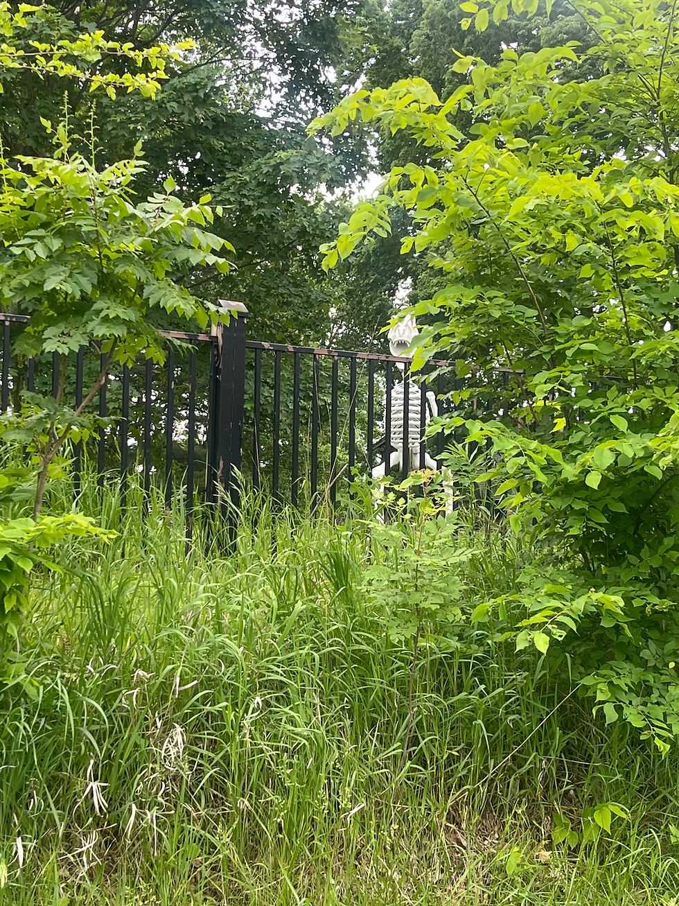 I went to answer nature’s call after lunch and saw this