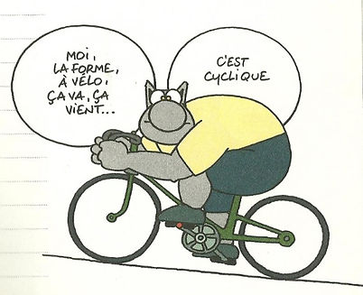 vélo le chat.jpeg