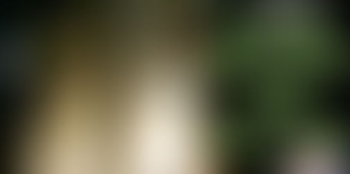 Come join us for National Ghost Hunting Day with our Graestone Paranormal team