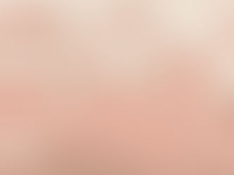 2025年12月の月報