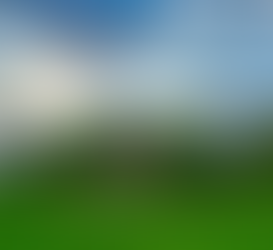 Jamia Millia Islamia Holds Offline Entrance Exams For PhD Admissions