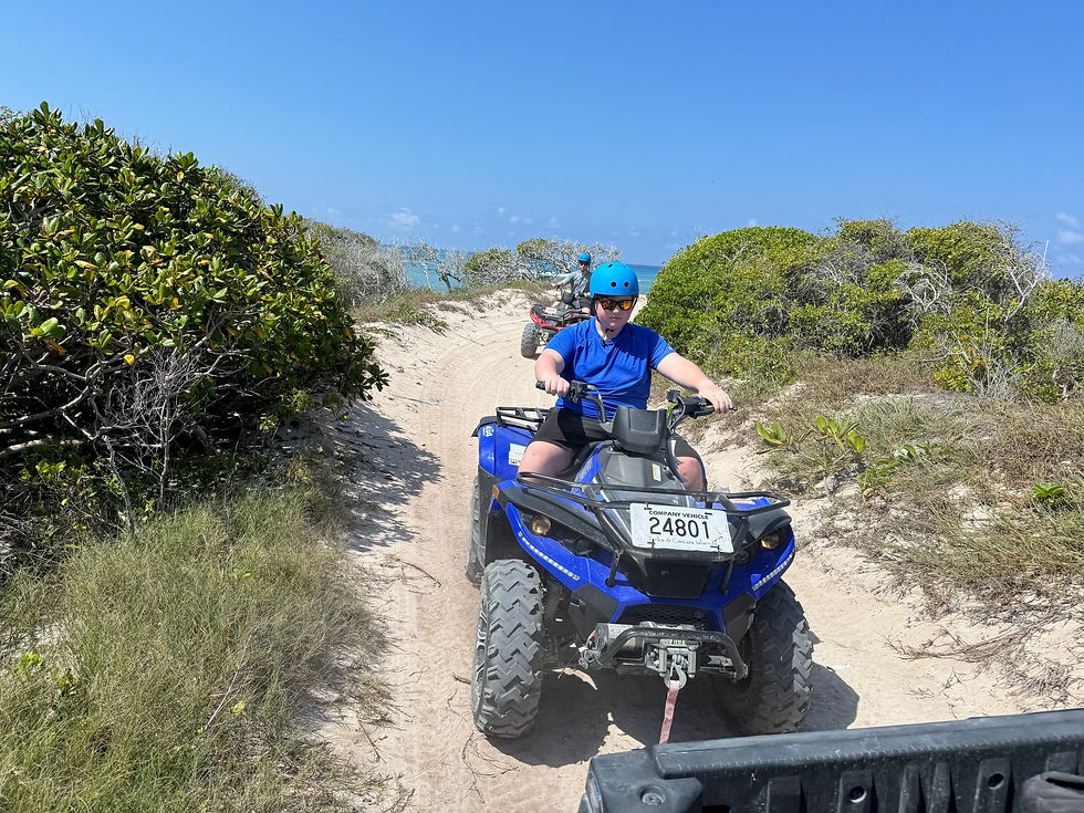 Thumbnail: 3 Hour Guided Tour 