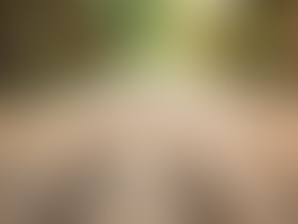 Deck Material Selection: How to Choose the Right Deck Materials