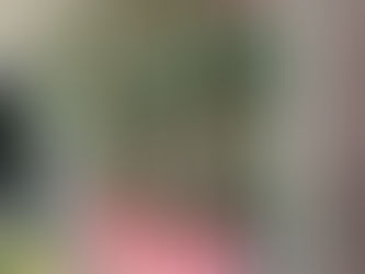 【願いを込めて七夕】