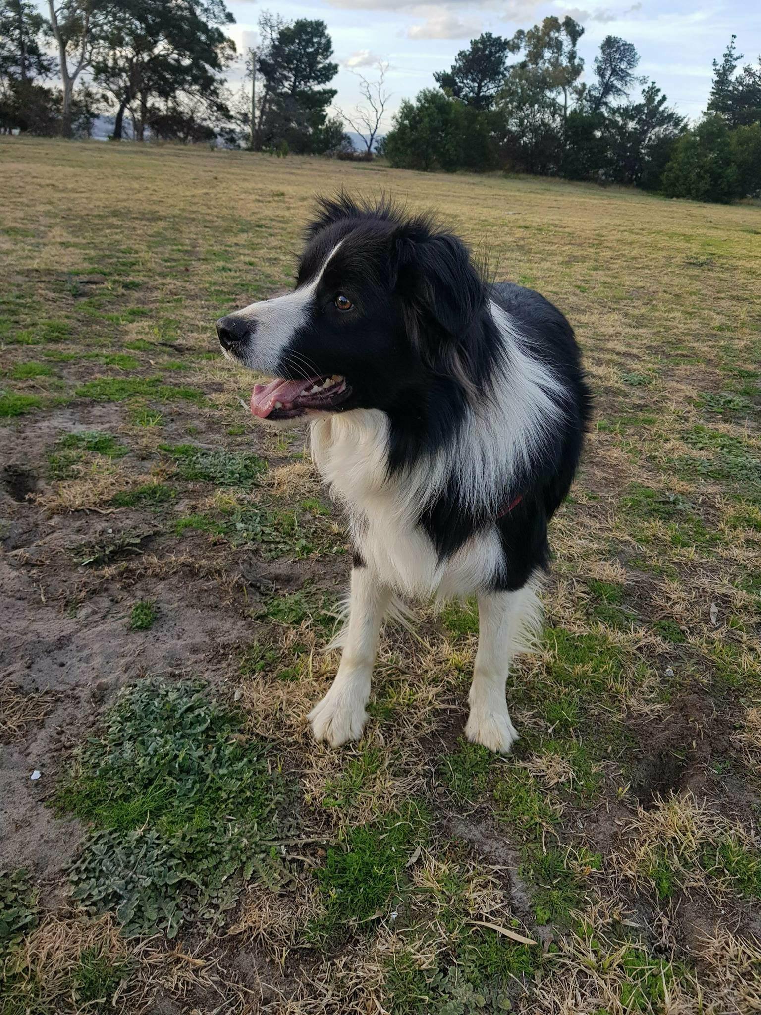 All grown up...