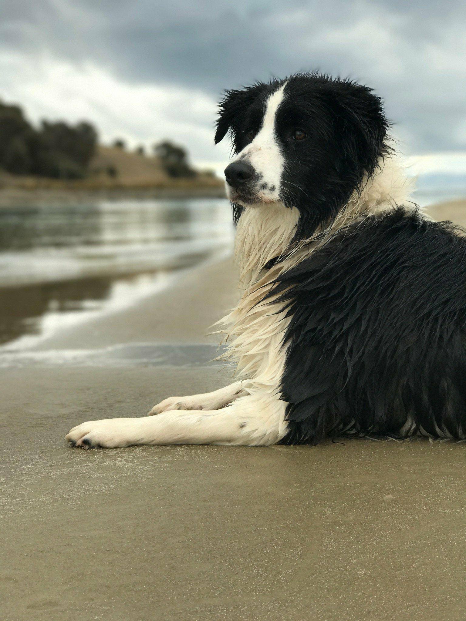 All grown up...