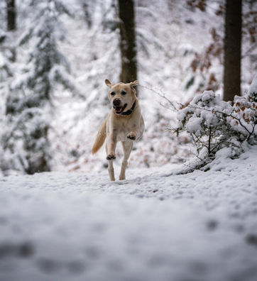 posting klein-00028.jpg