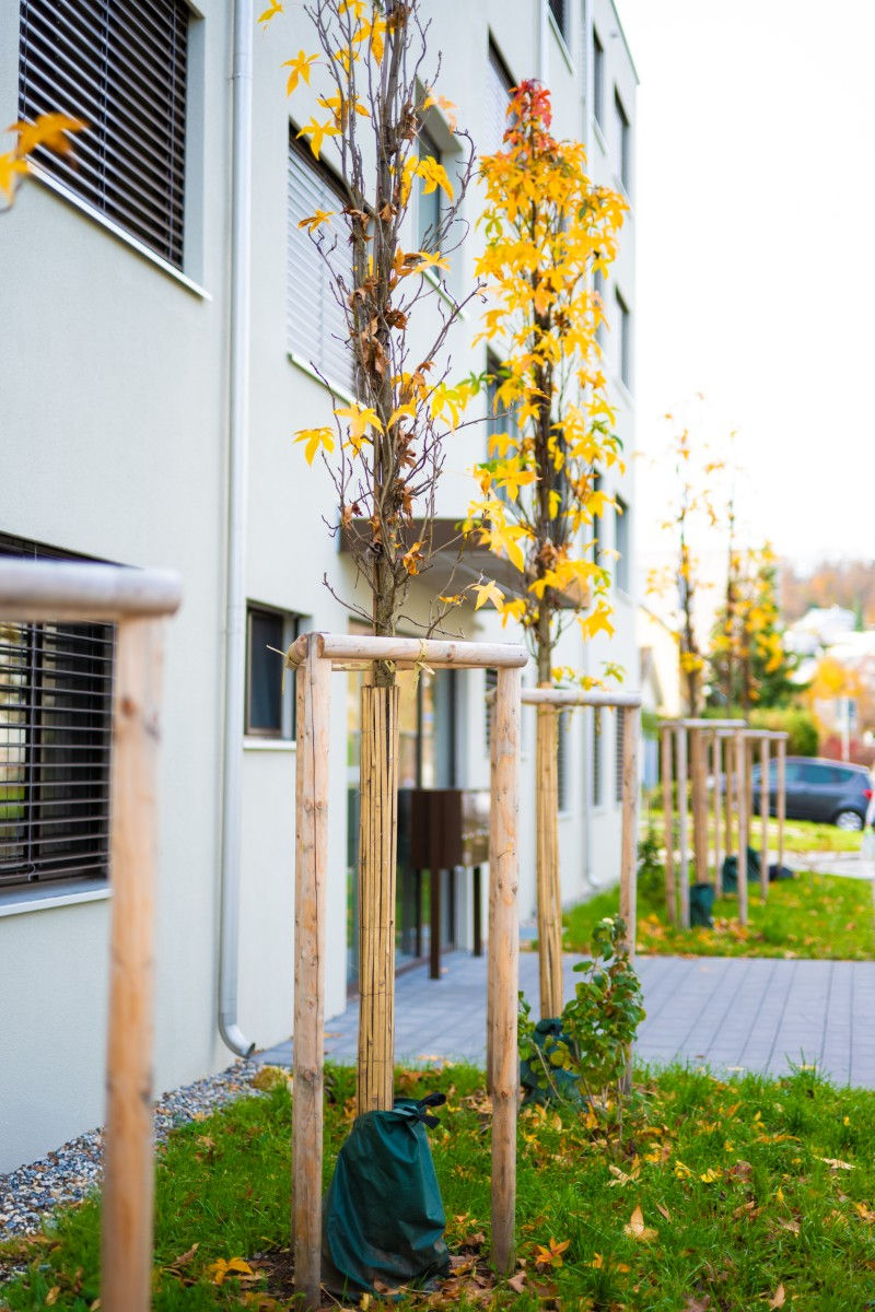 Landscape design for a new build by PRIMA Gartenbau, Reinach BL.