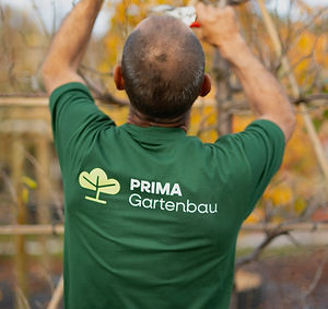 Professional garden and tree care in Basel city by PRIMA Gartenbau