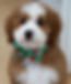 DSC00536_edited.png