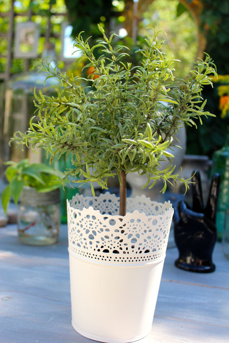 Things you should buy from IKEA