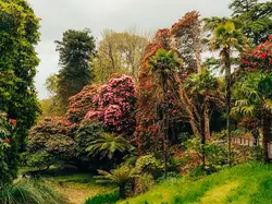 Lost Gardens of Heligan