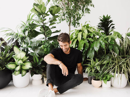 Plantas y Millennials