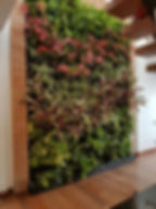 JardÃn Natural
