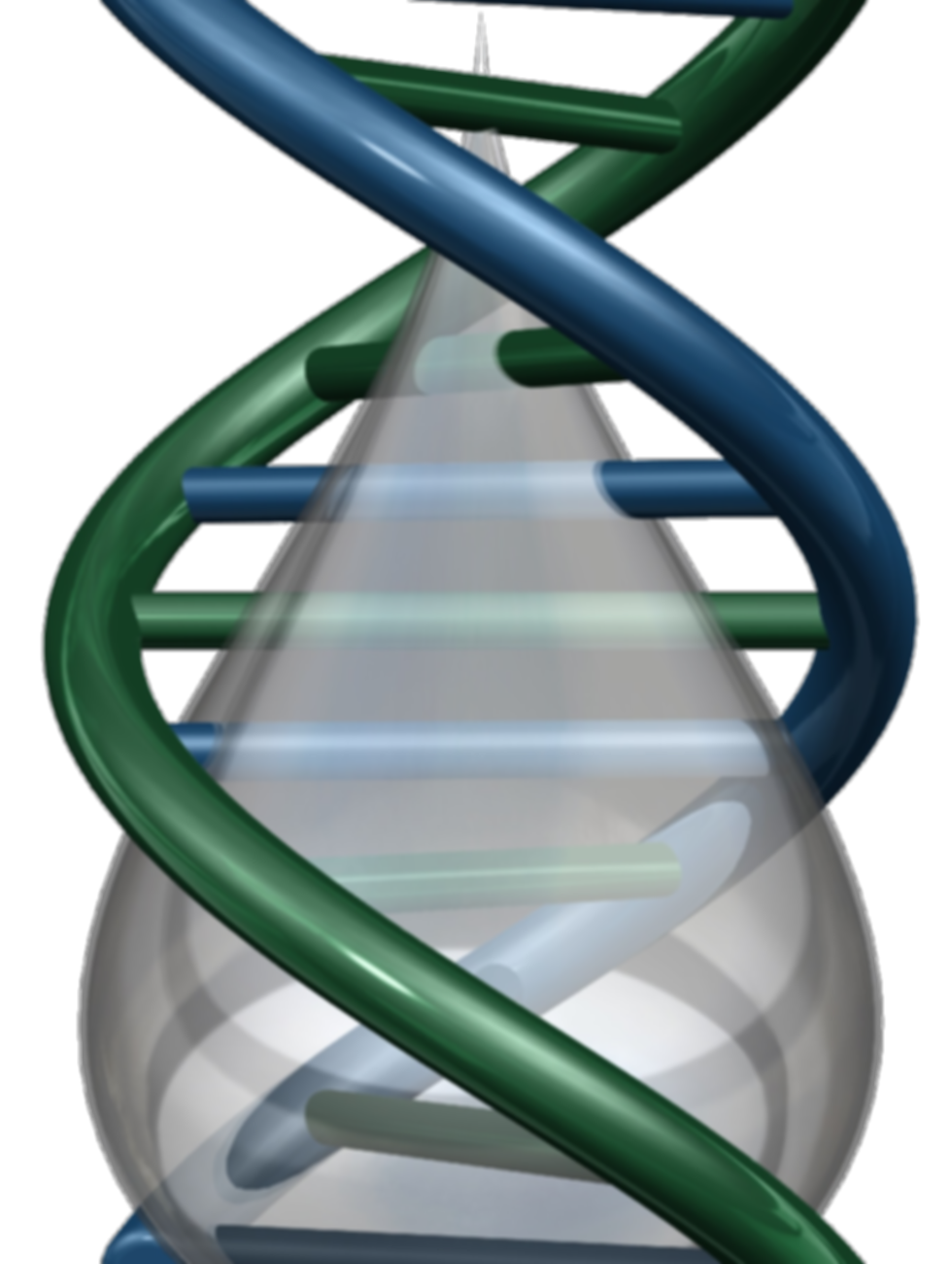 logo png2.png