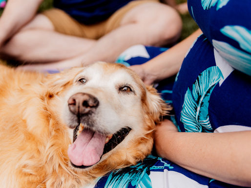 Celebrating Sadie Mae: A Heartfelt Celebration of Life Session