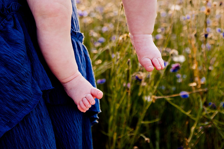 Lancaster Wildflower Mini Sessions Golden Hour Family Photographer PA