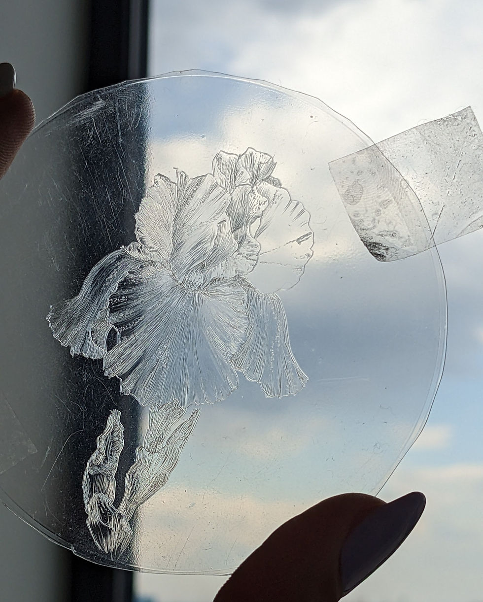 Thumbnail: Drypoint Print Surface of an Iris Flower