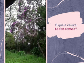 Texto: As mensagens que a chuva traz