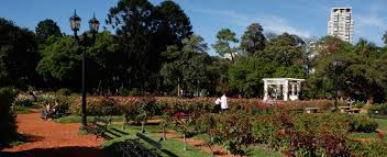 Plantación indiscriminada de árboles