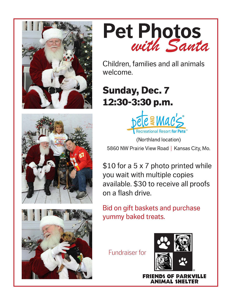 Pet Photos with Santa