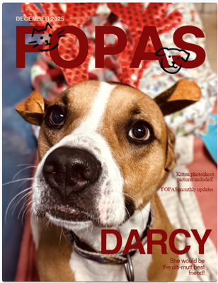 FOPAS Feature: December 2025