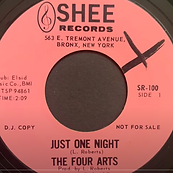 THE FOUR ARTS   JUST ONE NIGHT SHEE RECORDS   ART WORK.PNG