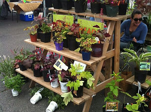 Farmers Market 3.jpg