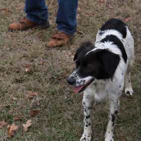 All God's Critters gotta place... (part one)