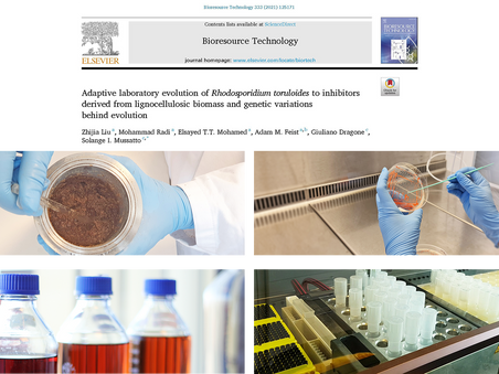 Sustainable production of natural food ingredients