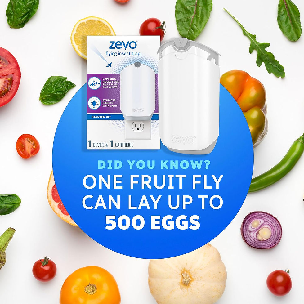 Thumbnail: Wall plug in light Zevo with sticky traps, designed to attract all flies and keep them away from view