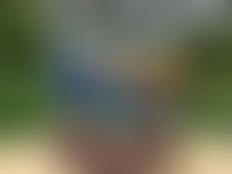 Pest Defender: Embracing the Shield Line for Eco-Friendly Insecticides, and Sustainable Pest Control