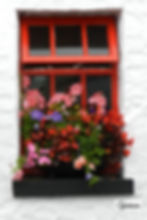 Irish Window wm