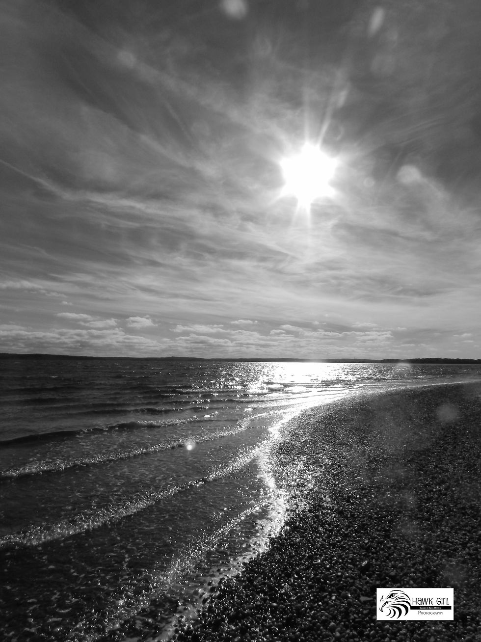 Shore Line wm