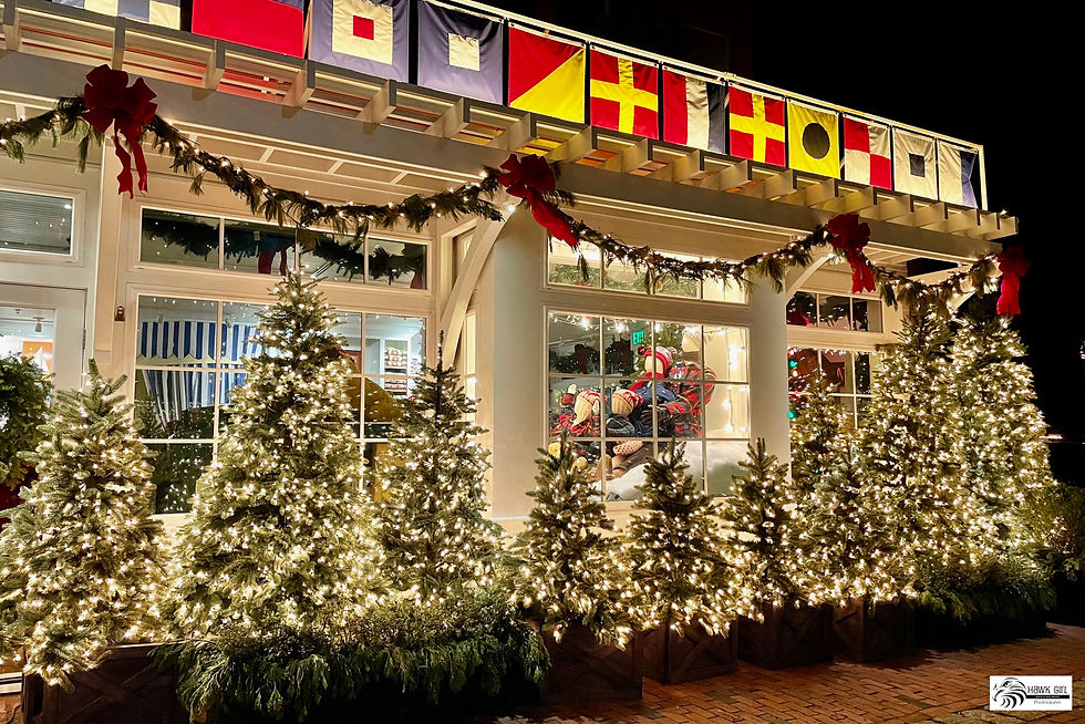 Christmas Trees wm