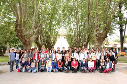 Año 2013